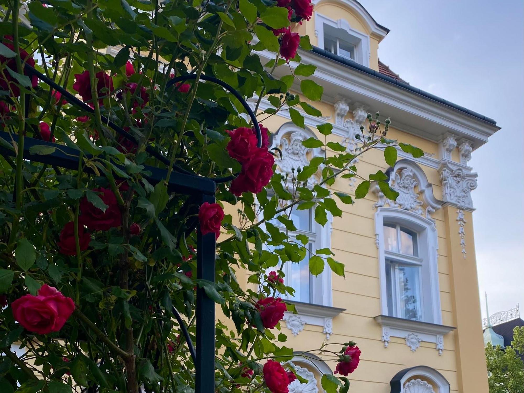 Salve Teplice Exterior foto